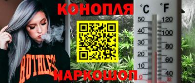 ПСИЛОЦИБИНОВЫЕ ГРИБЫ Заводоуковск