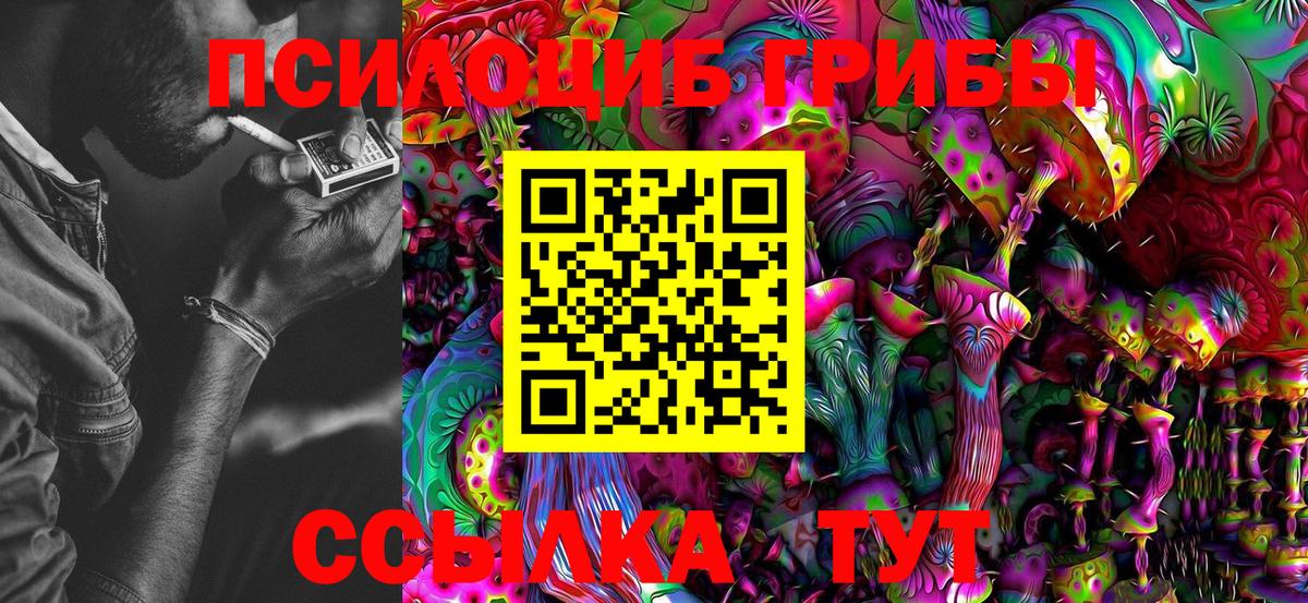 Галлюциногенные грибы Magic Shrooms  Галлюциногенные грибы Cubensis  Карабулак  Вход с VPN 