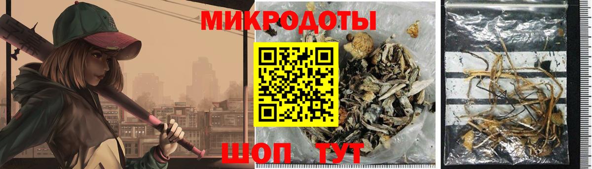 Псилоцибиновые грибы мицелий Карабулак